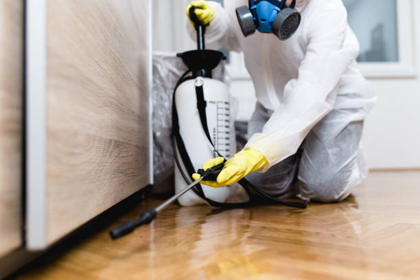 Best Wasp Removal Services  in North Hudson, WI