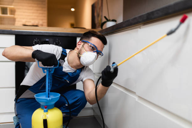 Best Pest Control Treatment  in North Hudson, WI
