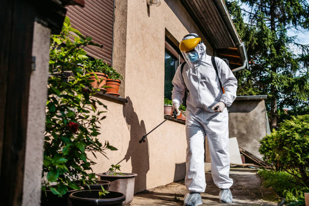 Best Termite Control Services  in North Hudson, WI