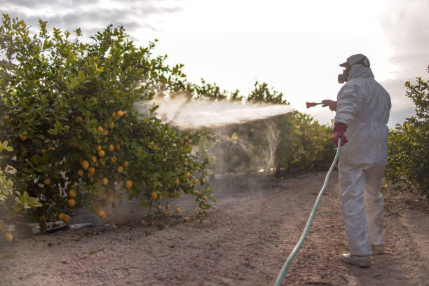Best Best Pest Control Companies  in North Hudson, WI