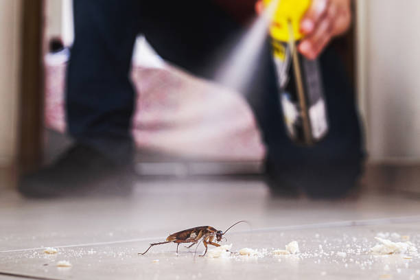 Best Pest Control Near Me in North Hudson, WI