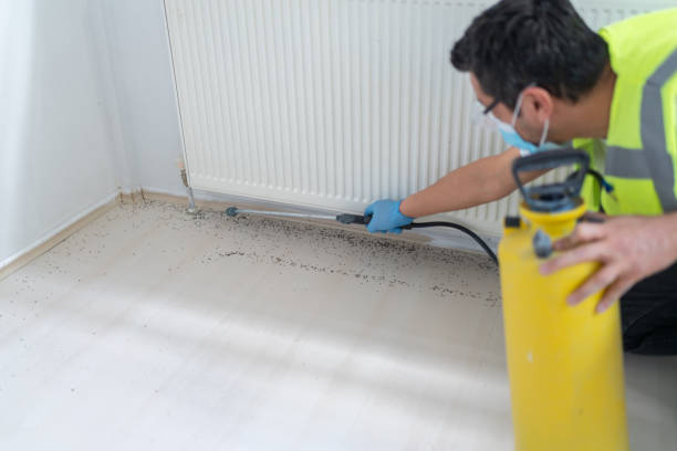 Flea Control Services in North Hudson, WI