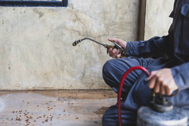 Best Pest Prevention Services  in North Hudson, WI